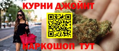сатива Заводоуковск