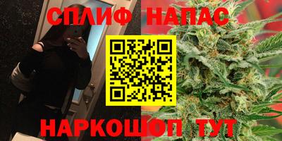 ПСИЛОЦИБИНОВЫЕ ГРИБЫ Заволжье