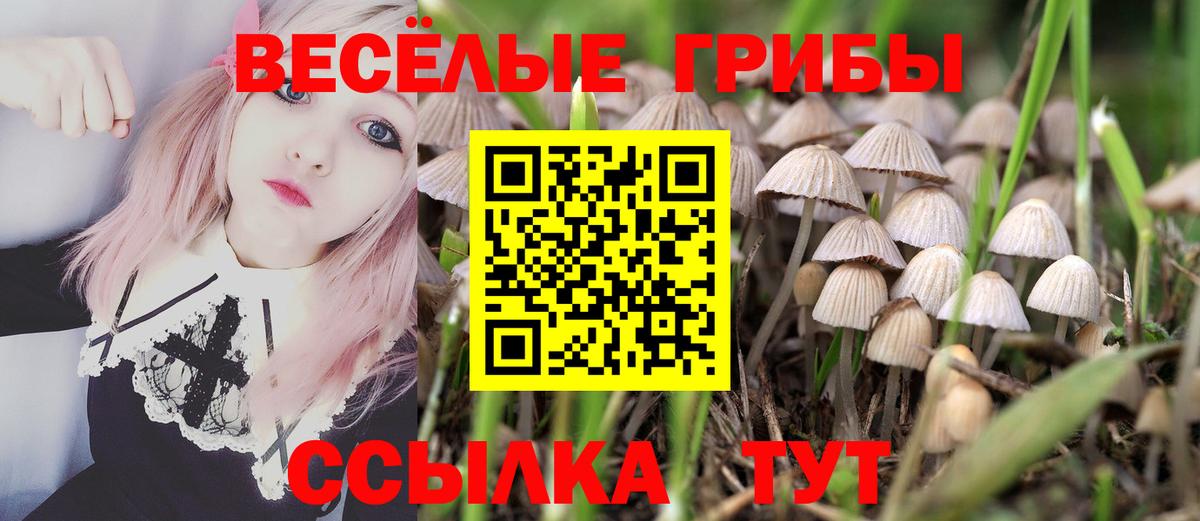 Псилоцибиновые грибы прущие грибы  Вход с VPN  где купить   Дивногорск 